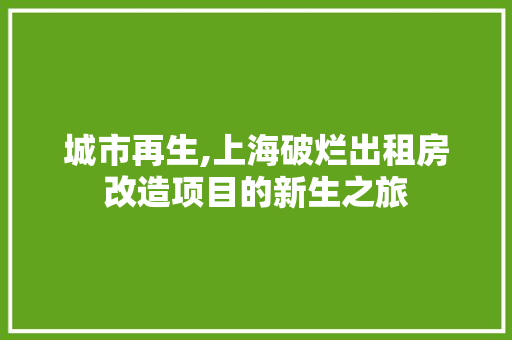 城市再生,上海破烂出租房改造项目的新生之旅