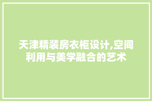 天津精装房衣柜设计,空间利用与美学融合的艺术 地面装修