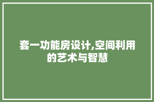 套一功能房设计,空间利用的艺术与智慧