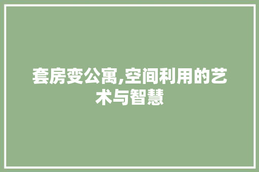 套房变公寓,空间利用的艺术与智慧