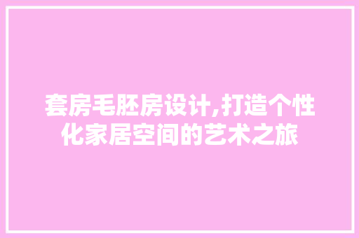 套房毛胚房设计,打造个性化家居空间的艺术之旅