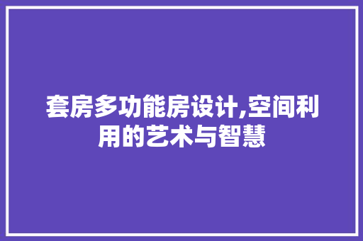 套房多功能房设计,空间利用的艺术与智慧