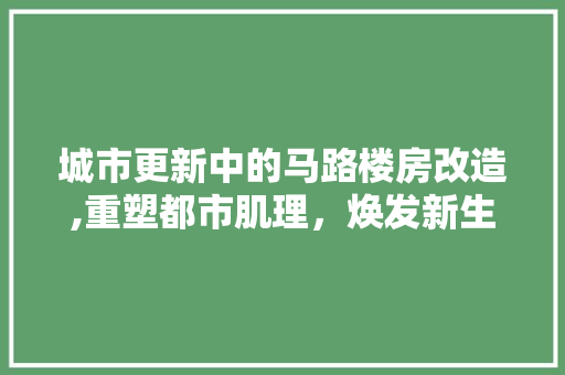 城市更新中的马路楼房改造,重塑都市肌理，焕发新生活力