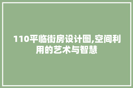 110平临街房设计图,空间利用的艺术与智慧