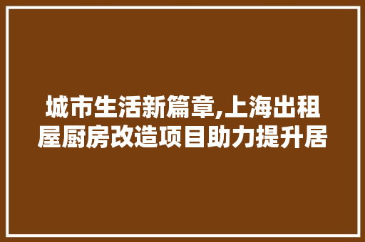 城市生活新篇章,上海出租屋厨房改造项目助力提升居住品质 建筑设计