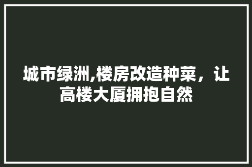 城市绿洲,楼房改造种菜，让高楼大厦拥抱自然