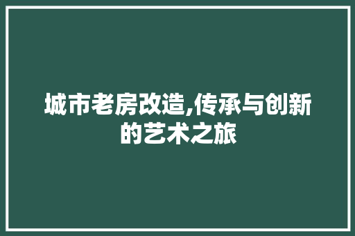 城市老房改造,传承与创新的艺术之旅
