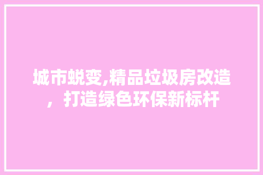 城市蜕变,精品垃圾房改造，打造绿色环保新标杆 地面装修