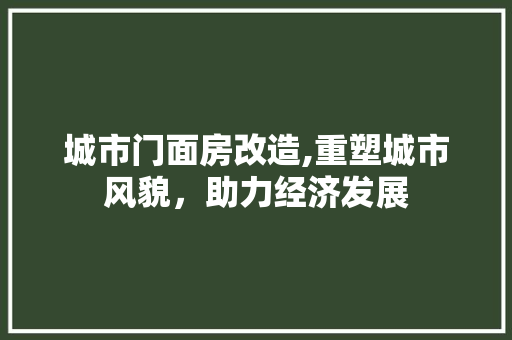 城市门面房改造,重塑城市风貌，助力经济发展