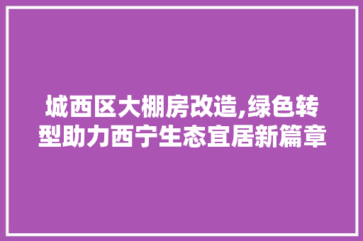 城西区大棚房改造,绿色转型助力西宁生态宜居新篇章 装修攻略