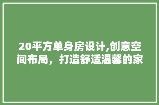 20平方单身房设计,创意空间布局，打造舒适温馨的家