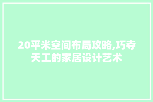 20平米空间布局攻略,巧夺天工的家居设计艺术