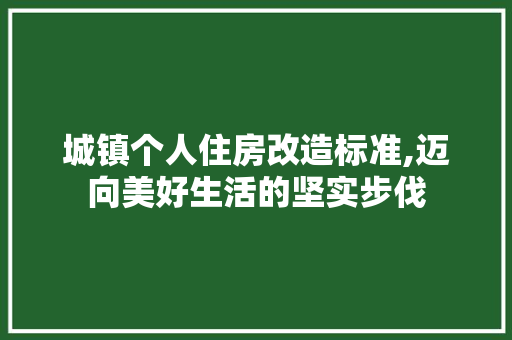 城镇个人住房改造标准,迈向美好生活的坚实步伐