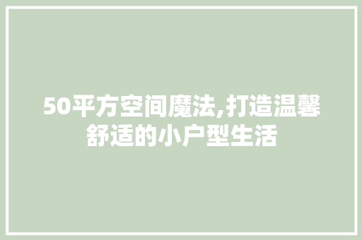 50平方空间魔法,打造温馨舒适的小户型生活