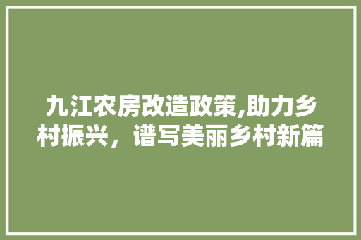 九江农房改造政策,助力乡村振兴，谱写美丽乡村新篇章