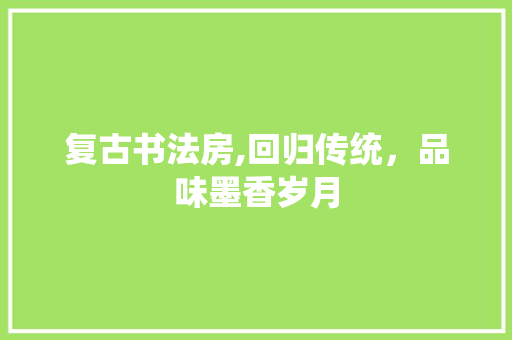 复古书法房,回归传统，品味墨香岁月