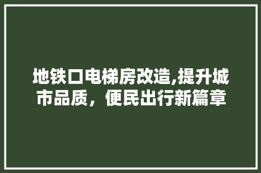 地铁口电梯房改造,提升城市品质，便民出行新篇章 隔断设计