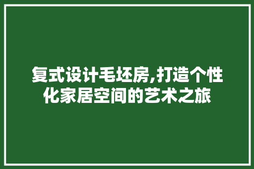复式设计毛坯房,打造个性化家居空间的艺术之旅
