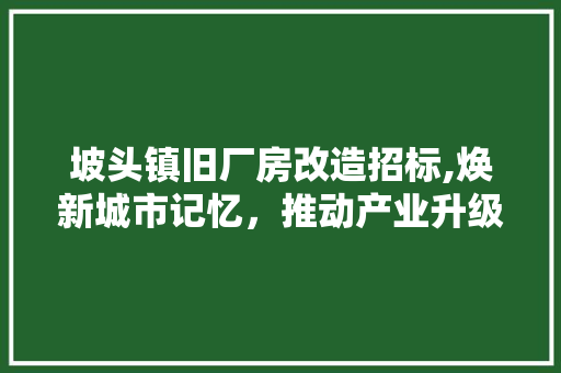 坡头镇旧厂房改造招标,焕新城市记忆，推动产业升级