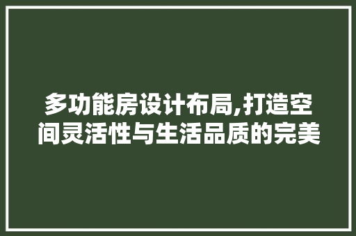 多功能房设计布局,打造空间灵活性与生活品质的完美融合