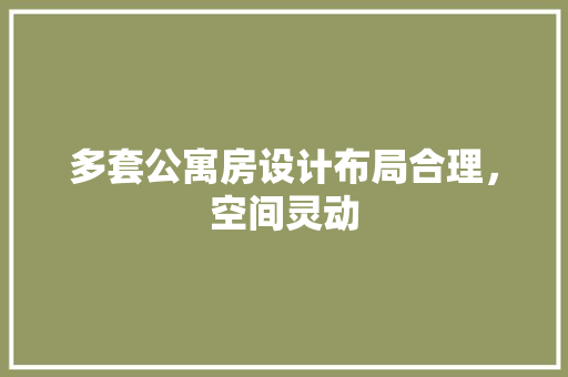 多套公寓房设计布局合理，空间灵动