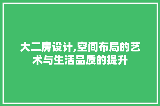 大二房设计,空间布局的艺术与生活品质的提升