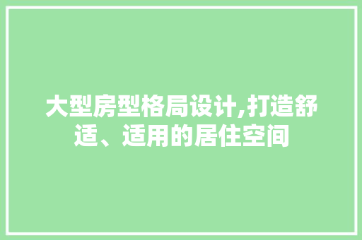 大型房型格局设计,打造舒适、适用的居住空间 建筑设计