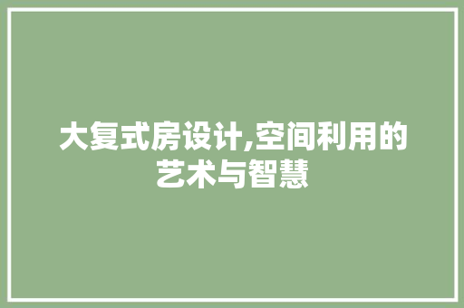 大复式房设计,空间利用的艺术与智慧
