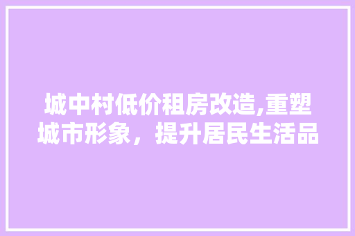城中村低价租房改造,重塑城市形象，提升居民生活品质