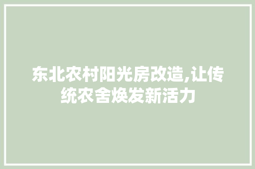 东北农村阳光房改造,让传统农舍焕发新活力