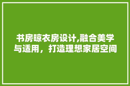 书房晾衣房设计,融合美学与适用，打造理想家居空间