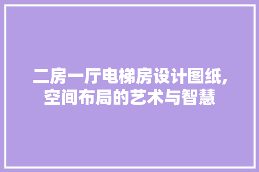 二房一厅电梯房设计图纸,空间布局的艺术与智慧 装修材料