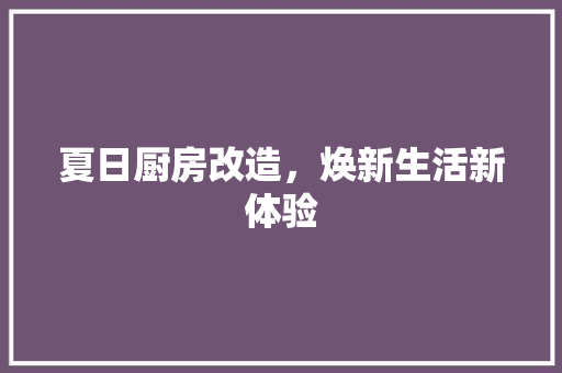 夏日厨房改造，焕新生活新体验