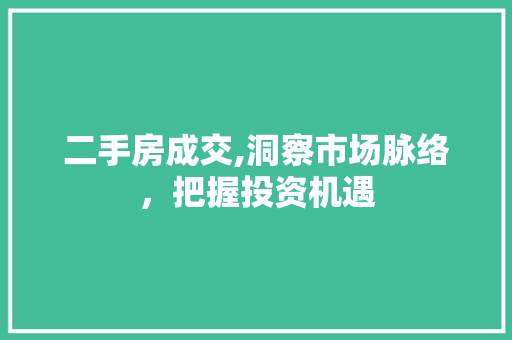 二手房成交,洞察市场脉络，把握投资机遇 装修材料