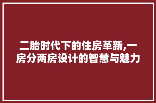 二胎时代下的住房革新,一房分两房设计的智慧与魅力