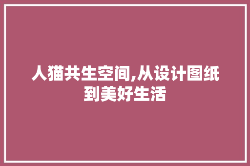 人猫共生空间,从设计图纸到美好生活
