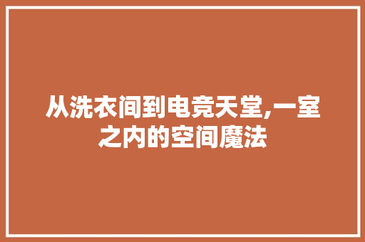 从洗衣间到电竞天堂,一室之内的空间魔法
