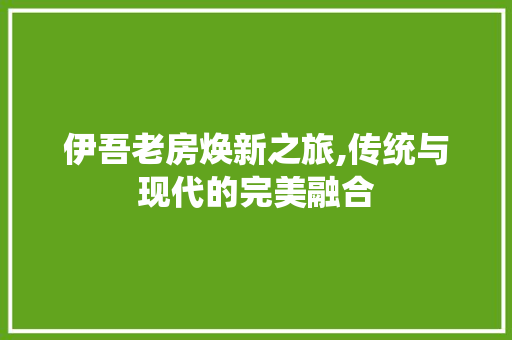 伊吾老房焕新之旅,传统与现代的完美融合