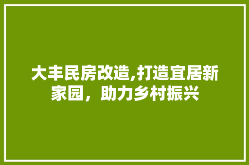 大丰民房改造,打造宜居新家园，助力乡村振兴 地面装修