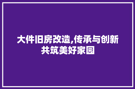 大件旧房改造,传承与创新共筑美好家园
