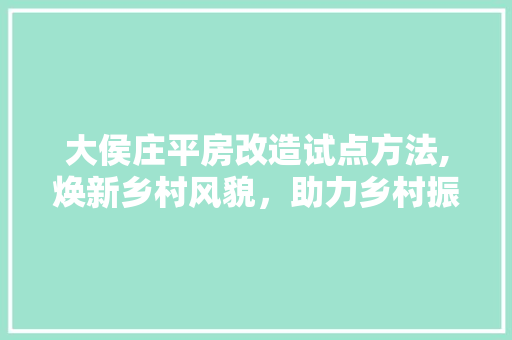 大侯庄平房改造试点方法,焕新乡村风貌，助力乡村振兴