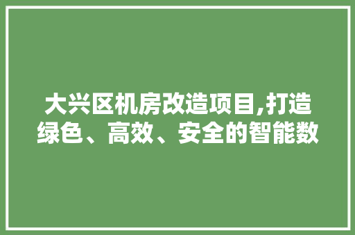 大兴区机房改造项目,打造绿色、高效、安全的智能数据中心