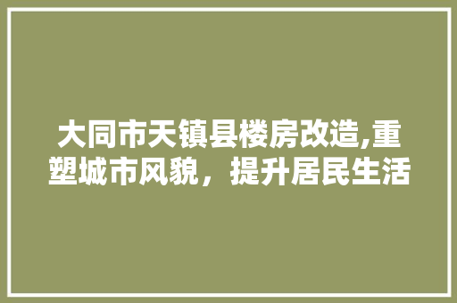大同市天镇县楼房改造,重塑城市风貌，提升居民生活品质