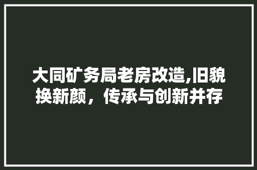 大同矿务局老房改造,旧貌换新颜，传承与创新并存 地面装修
