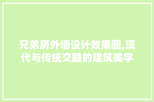 兄弟房外墙设计效果图,现代与传统交融的建筑美学