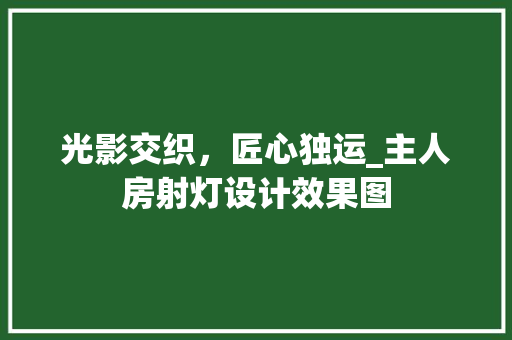 光影交织，匠心独运_主人房射灯设计效果图