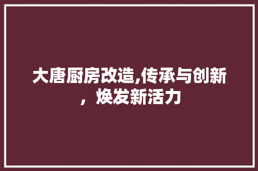 大唐厨房改造,传承与创新，焕发新活力
