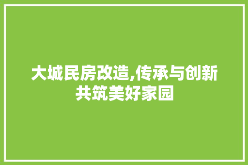 大城民房改造,传承与创新共筑美好家园