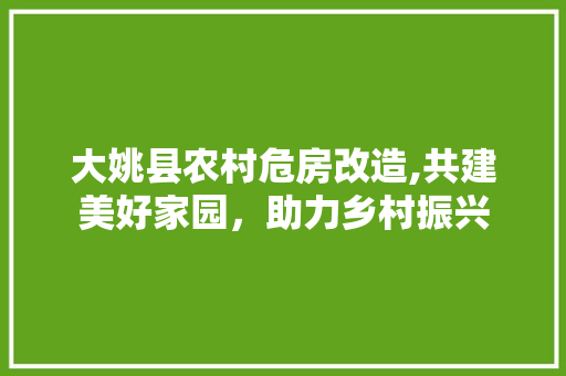 大姚县农村危房改造,共建美好家园，助力乡村振兴 装修攻略