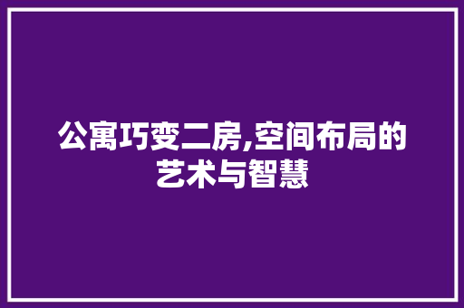 公寓巧变二房,空间布局的艺术与智慧